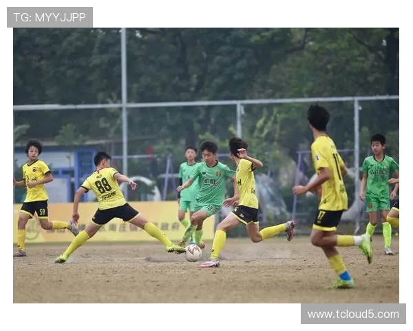 从绿茵场到世界舞台探寻足球运动的激情与文化魅力 从绿茵场到世界舞台探寻足球运动的激情与文化魅力