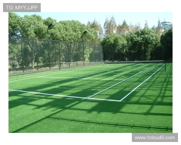 从草地到红土再到硬地全面解析网球场地变化对球员技术的深远影响 从草地到红土再到硬地全面解析网球场地变化对球员技术的深远影响