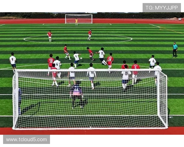 绿茵荣耀逐梦赛场见证激情与团队共谱足球盛宴