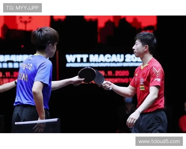 北京乒乓球队力量对比深度剖析与未来发展趋势探讨