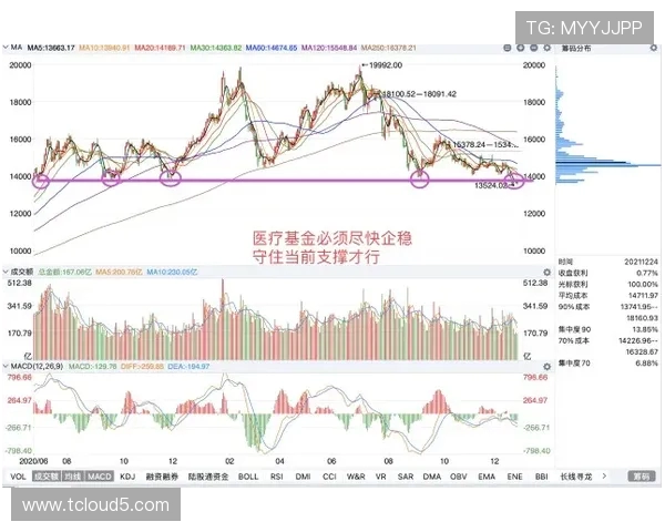南京飞盘队与杭州飞盘队赛后复盘分析团队配合与战术执行的关键要素
