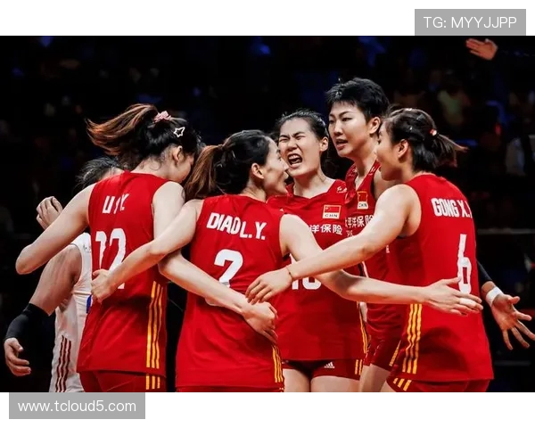 成都排球队实力强劲荣登全国排球个人能力排行榜第三名