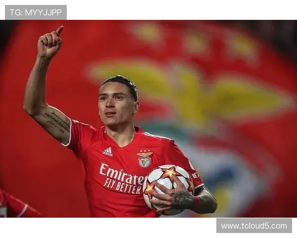 努涅斯的崛起与挑战：解析这位新星在足球世界中的影响力与未来潜力